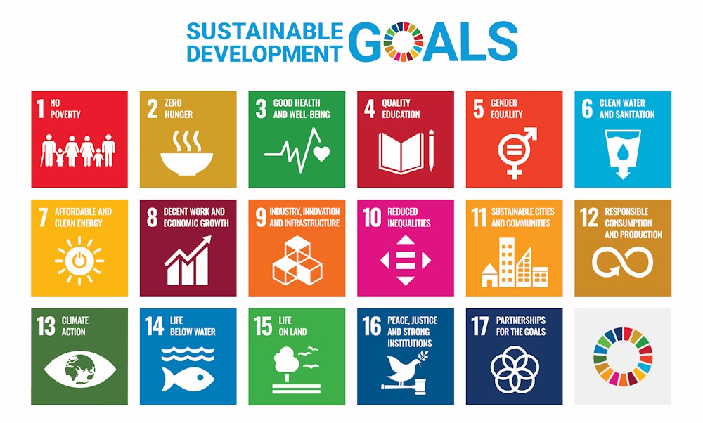 sustainable development goals