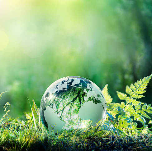 Environment